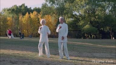 <strong>幸福</strong>的老年夫妇在公园里练太极拳